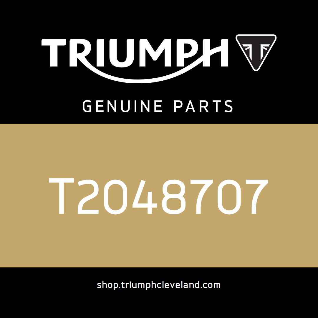 Triumph OEM Stanchion Assy, RH - T2048707