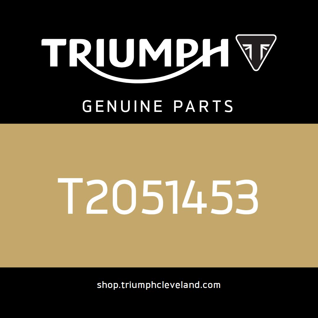 Triumph OEM Screw, M5 x 12 - T2051453