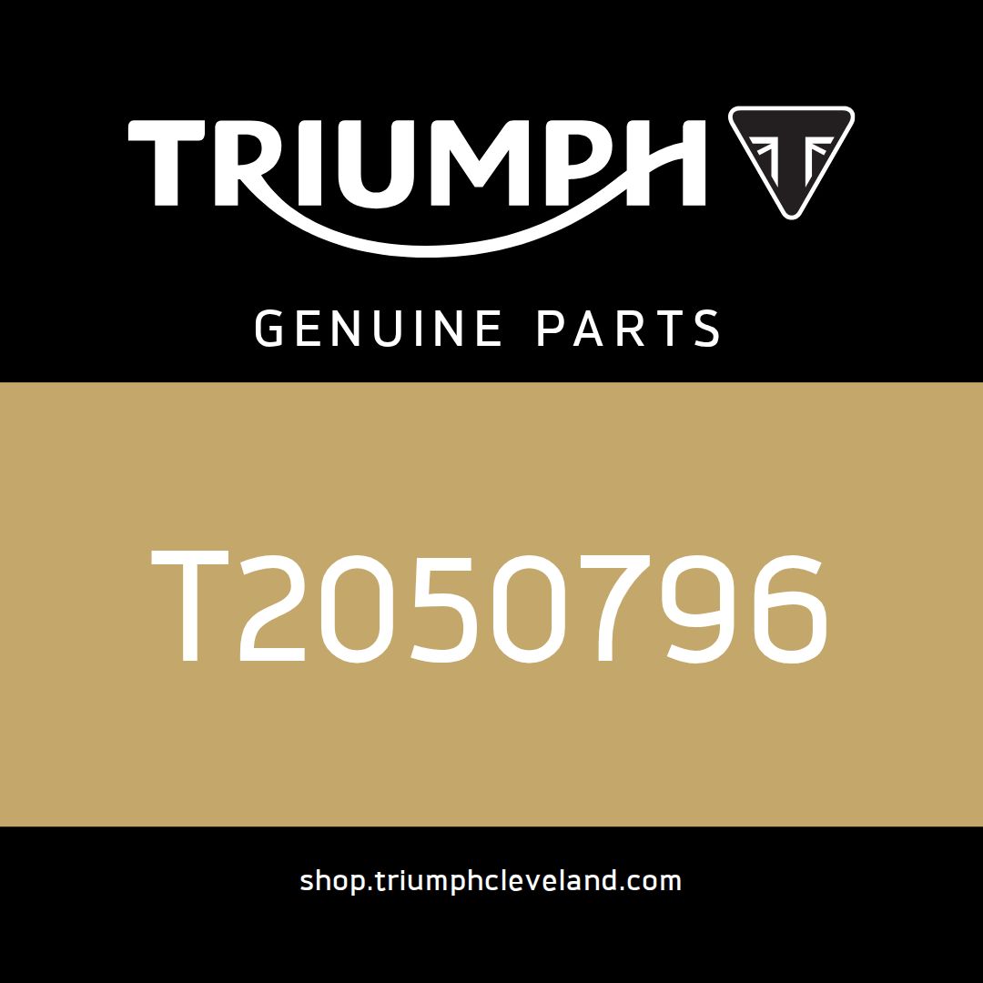 Triumph OEM Rubbing Strip, Lateral - T2050796