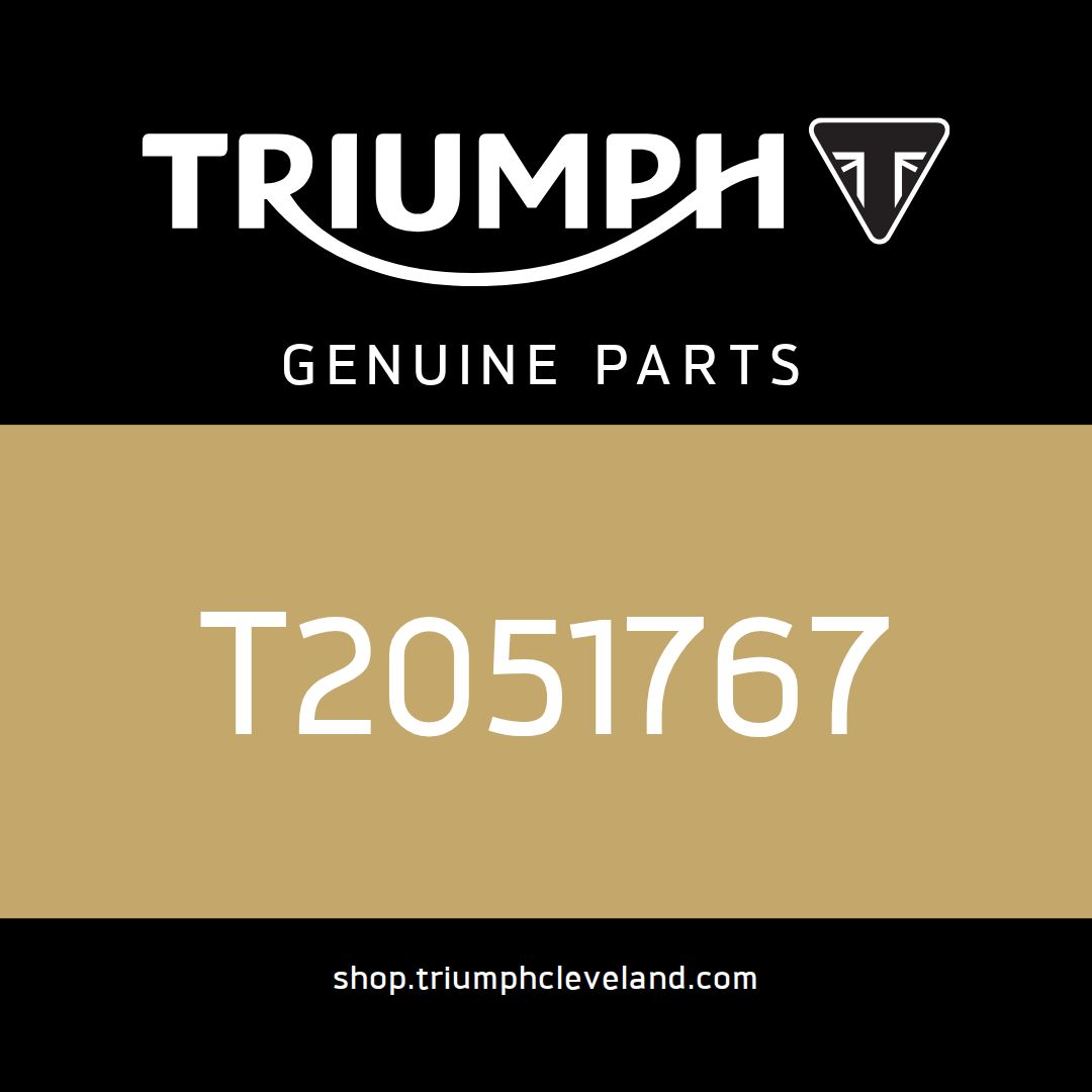 Triumph OEM Damper, Rubbing Strip - T2051767