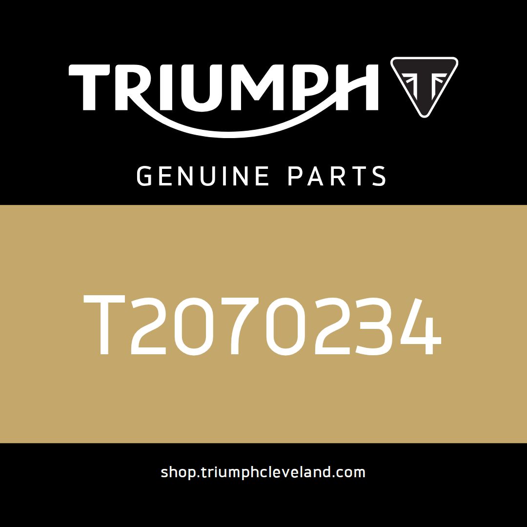 Triumph OEM Rear Subframe Assy - T2070234
