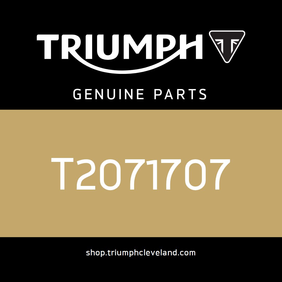 Triumph OEM Frame Assembly, ROW - T2071707