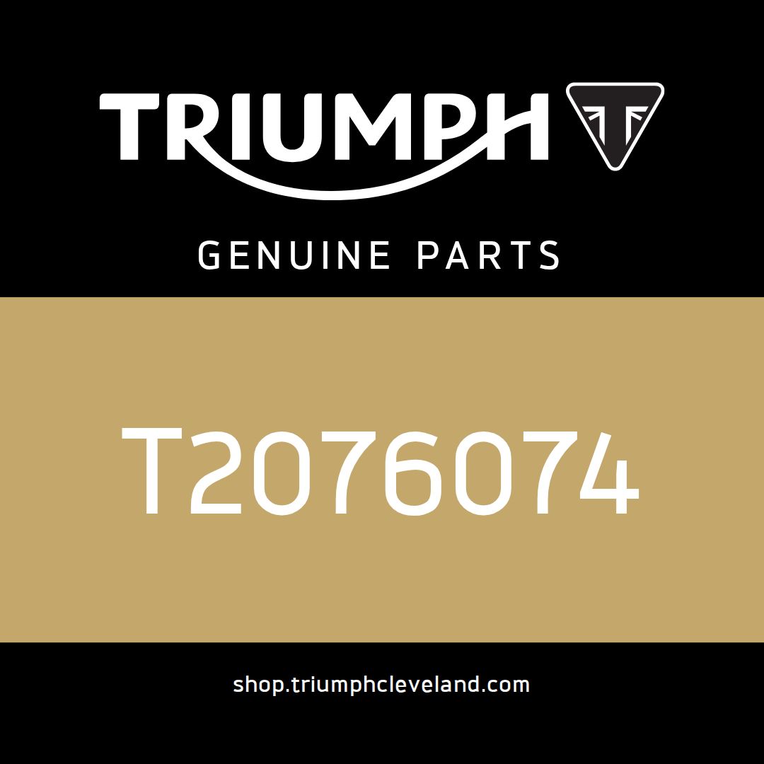 Triumph OEM Frame Assembly, ROW - T2076074