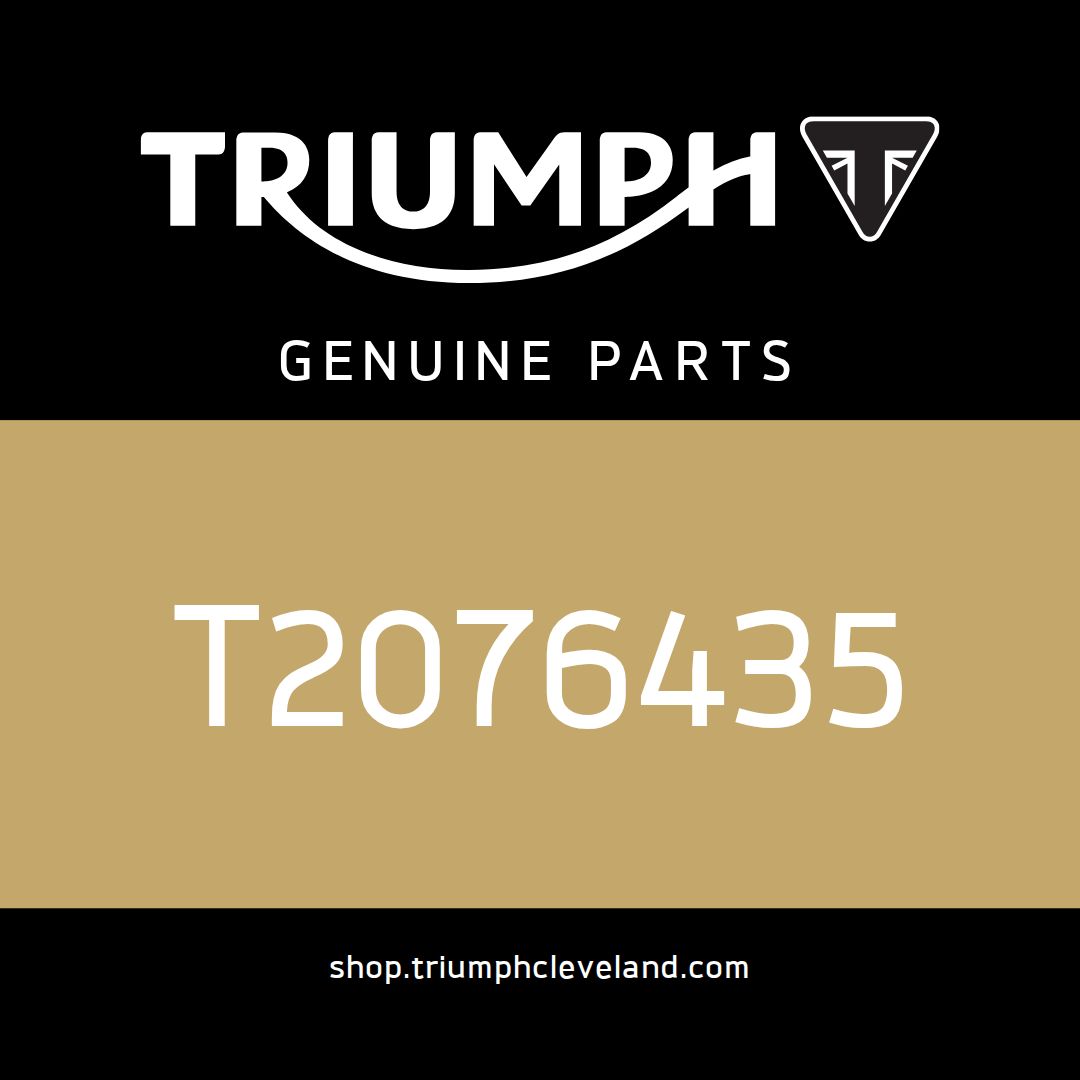 Triumph OEM Frame Assembly, KR - T2076435