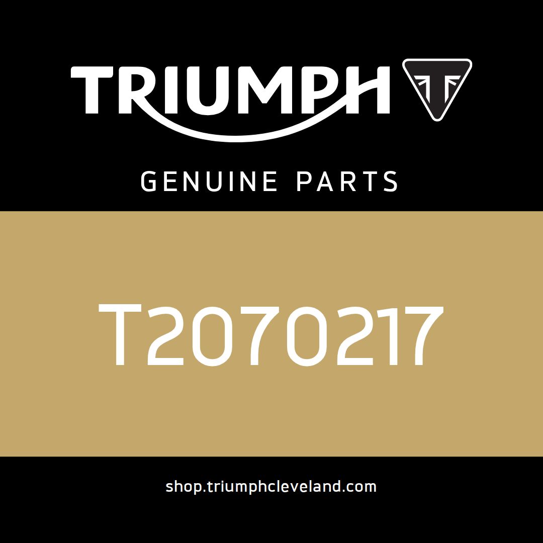 Triumph OEM Swingarm Height Insert, RH - T2070217