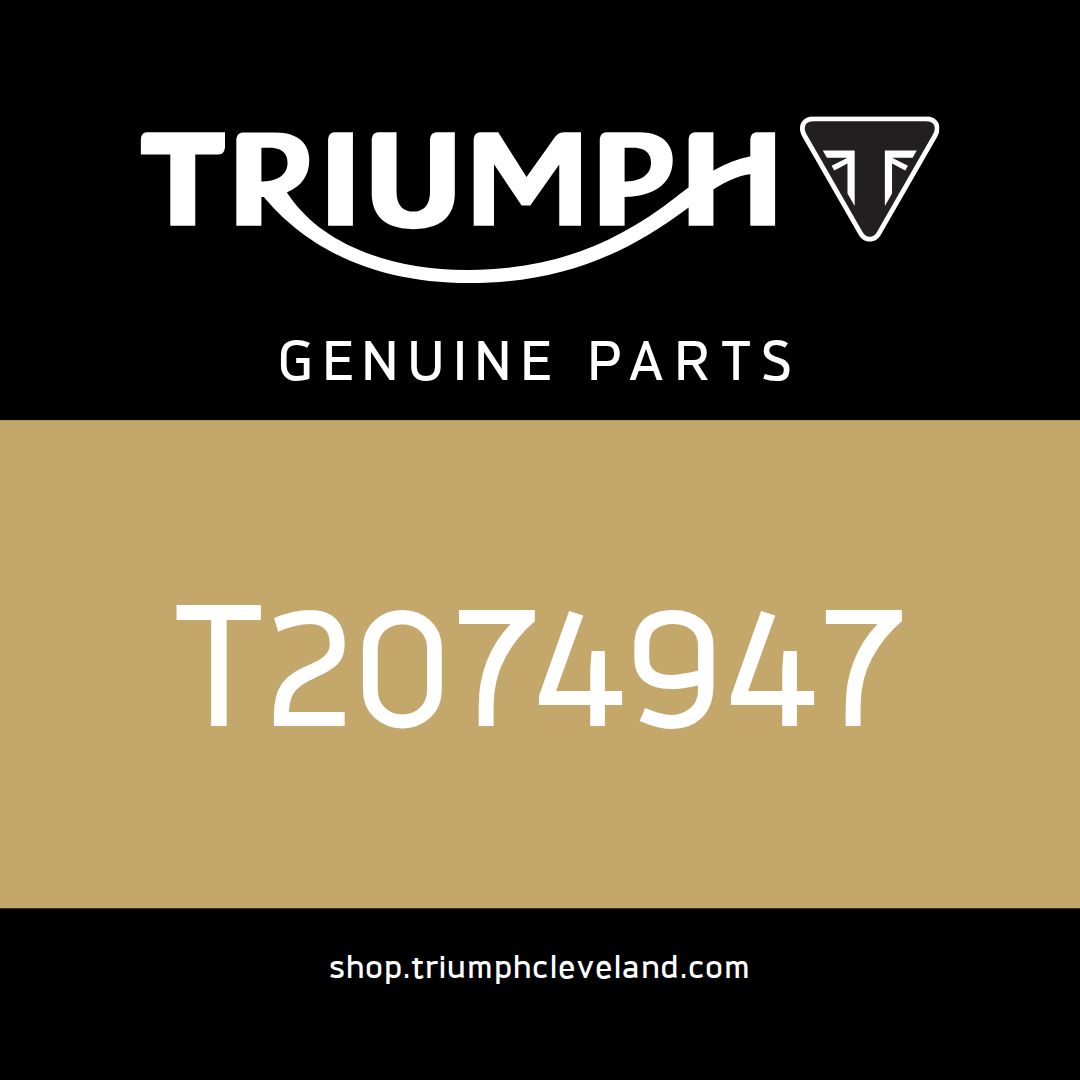 Triumph OEM Frame Assy, China - T2074947