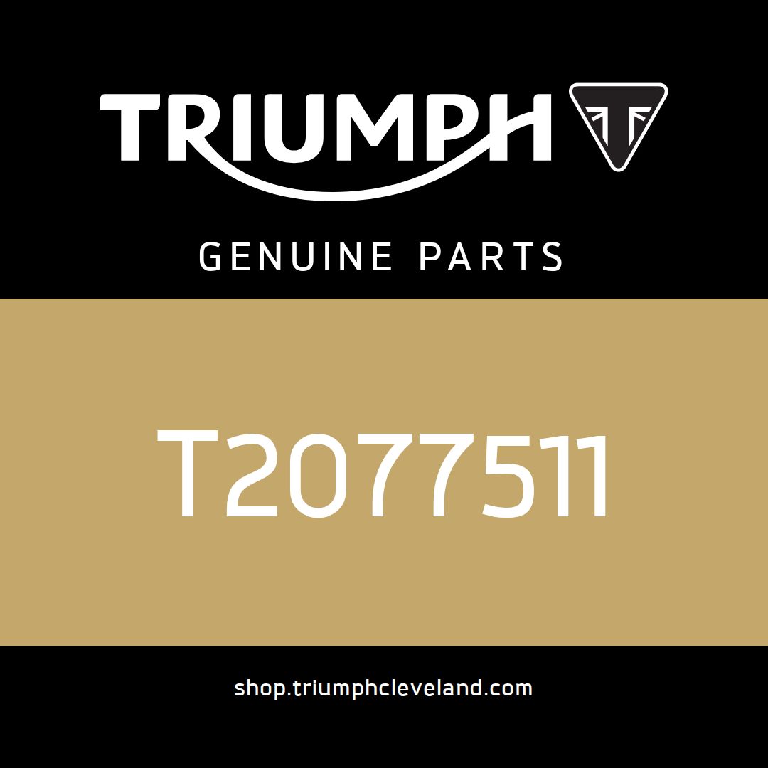 Triumph OEM Frame Assembly, CN - T2077511