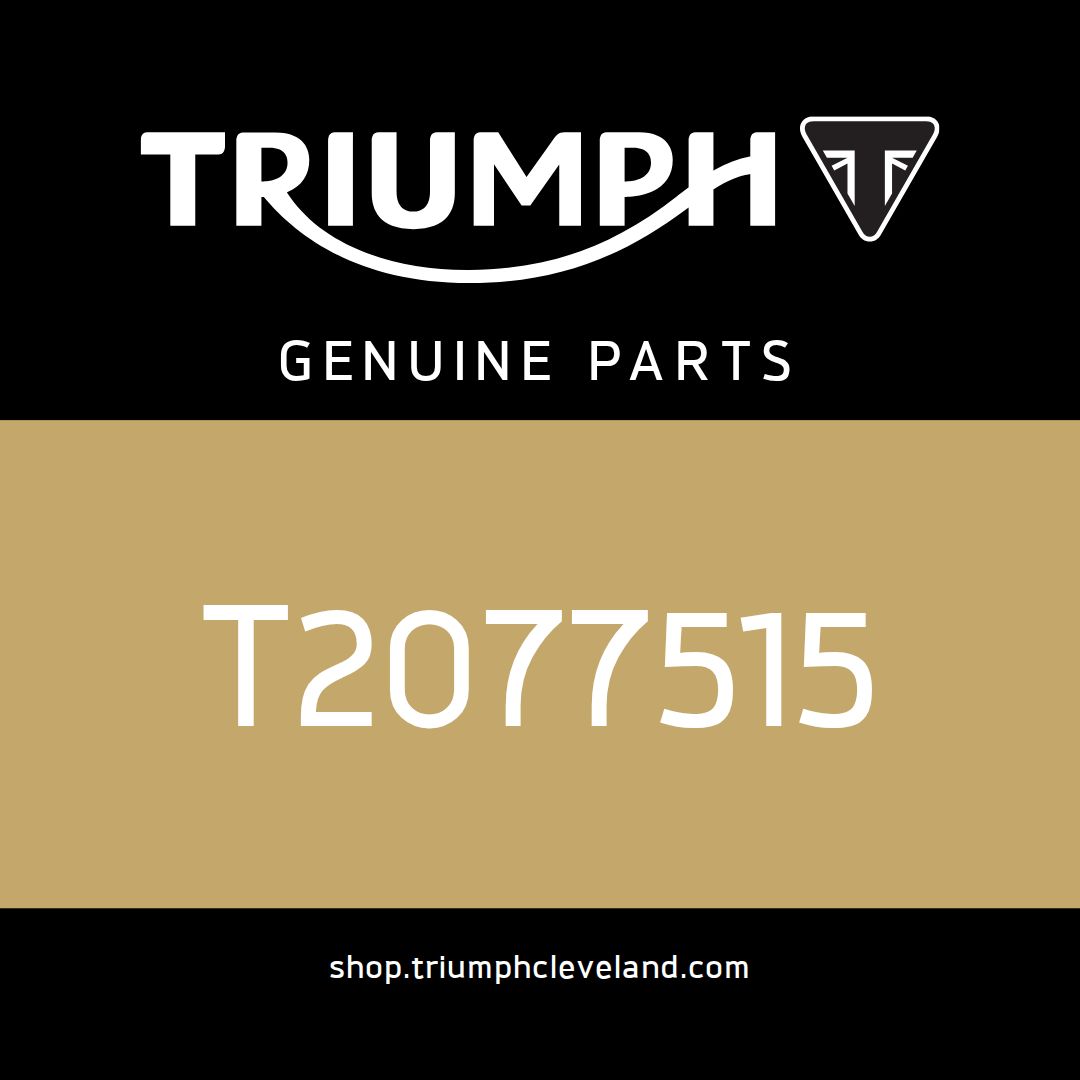 Triumph OEM Frame Assembly, TH - T2077515
