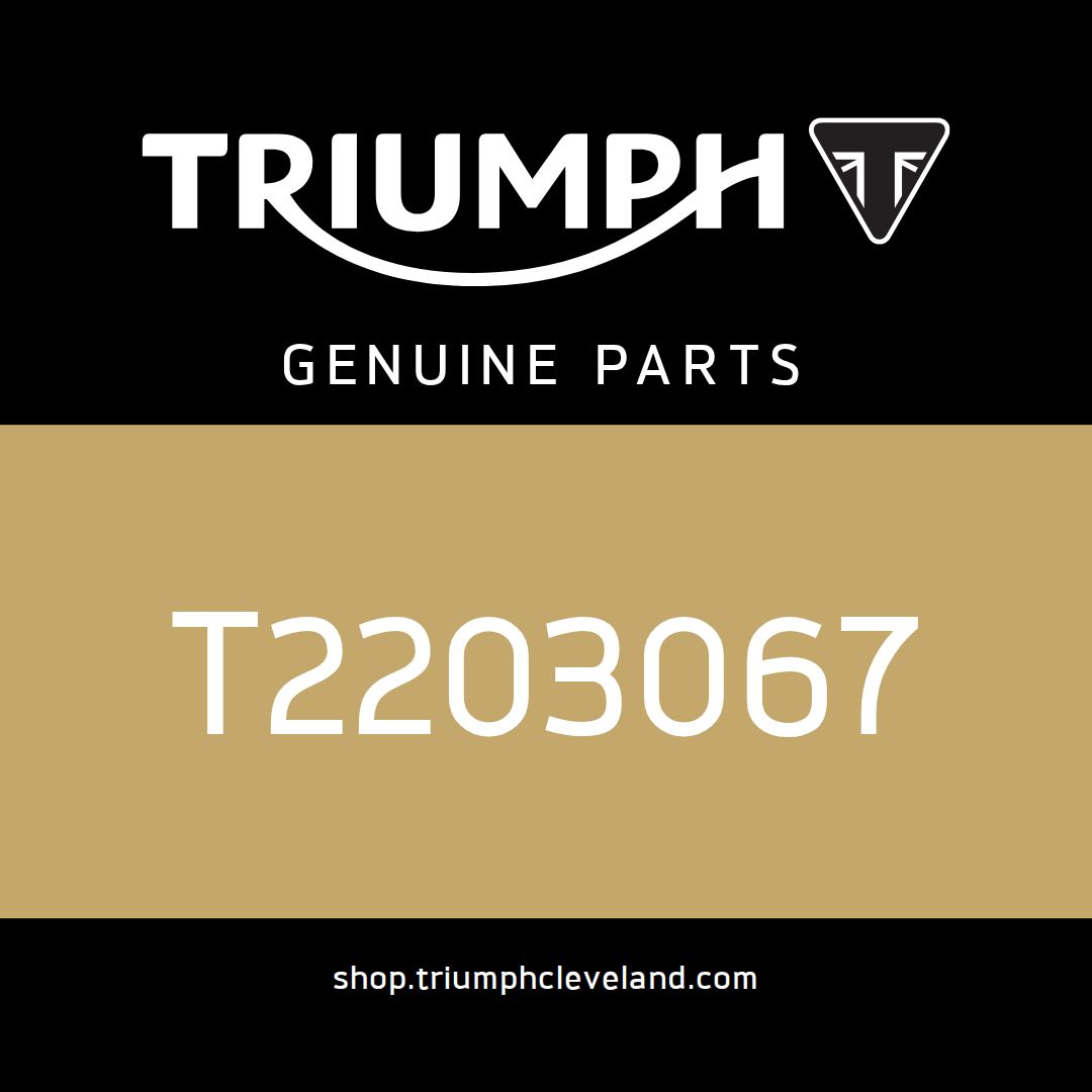 Triumph OEM Silencer Assy, Under Engine - T2203067
