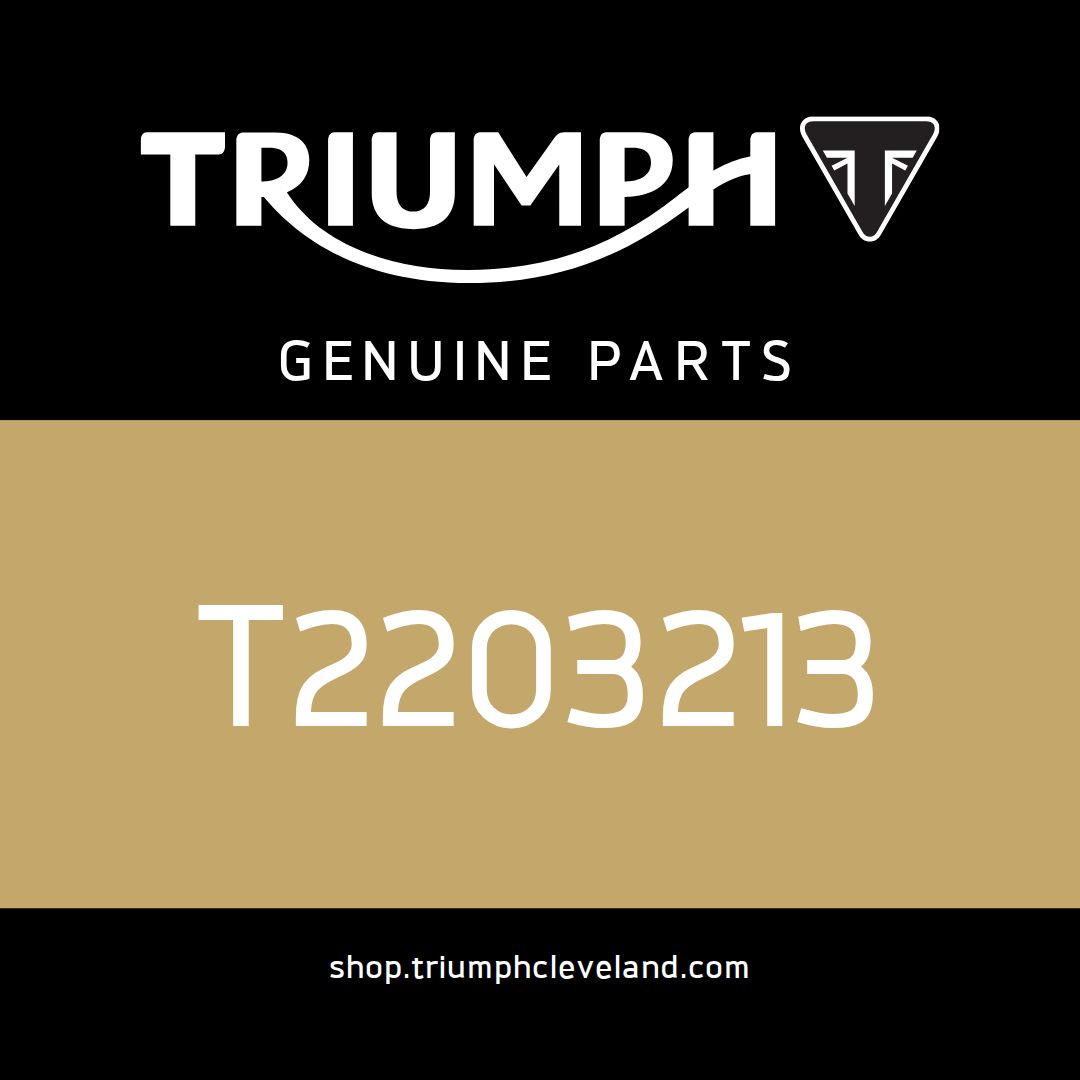 Triumph OEM Wire Guide, SAI - T2203213