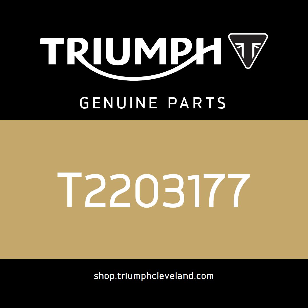 Triumph OEM Catbox Assy, 70 Pgm - T2203177