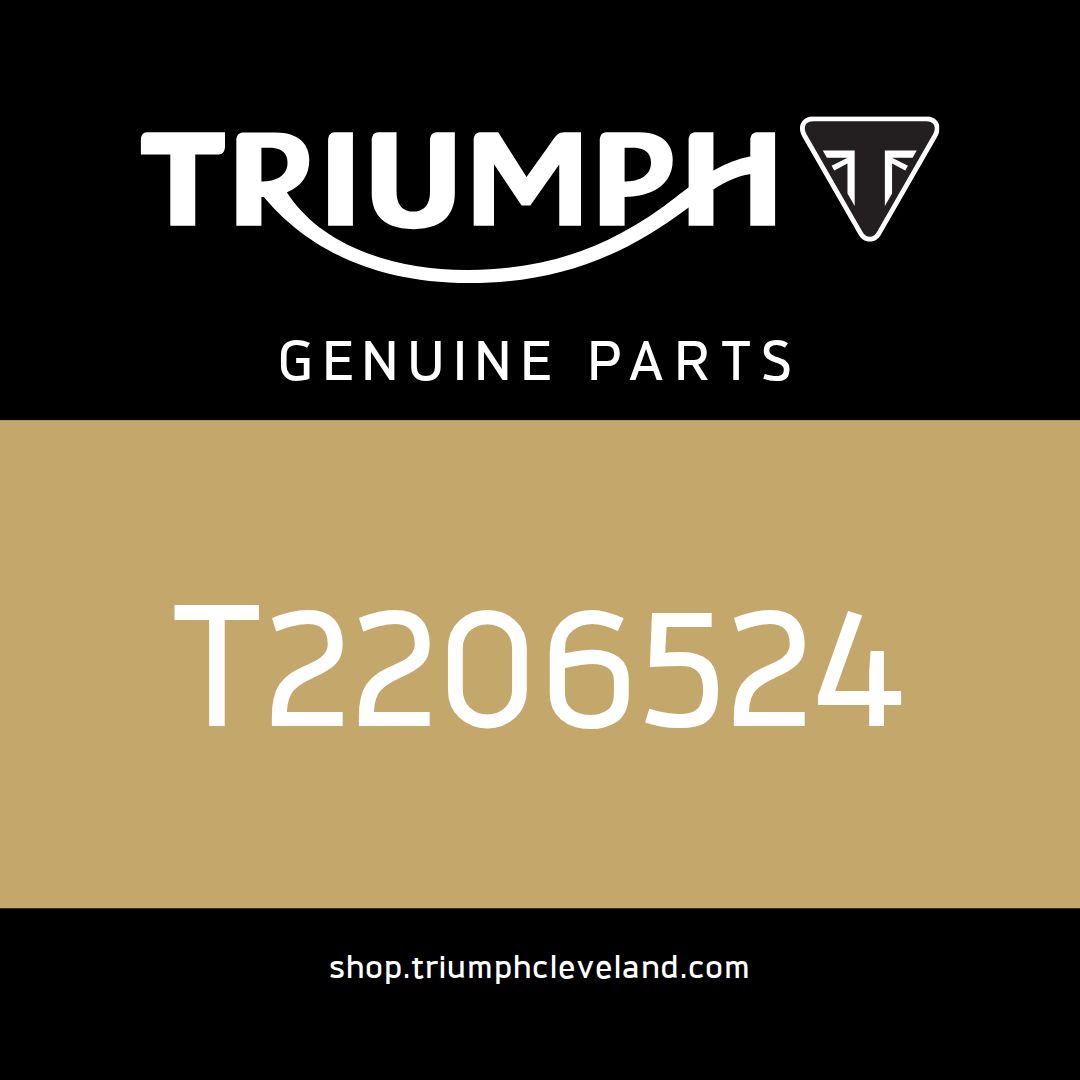 Triumph OEM Outer Moulding, Airbox, RHS - T2206524