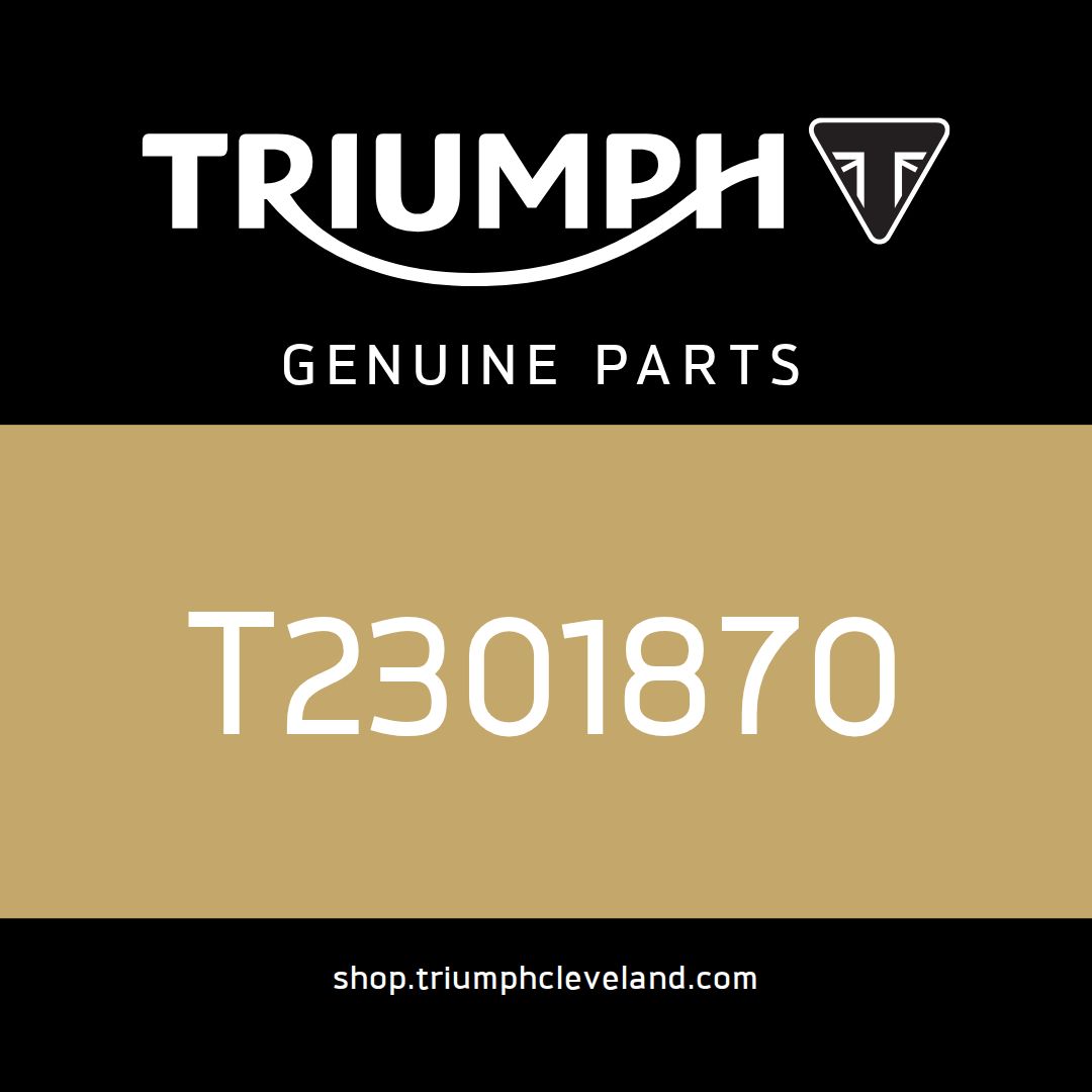 Triumph OEM Decal Sidepanel - T2301870