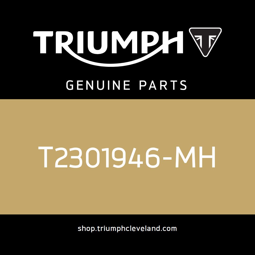Triumph OEM Rear Panel Assy - T2301946-MH