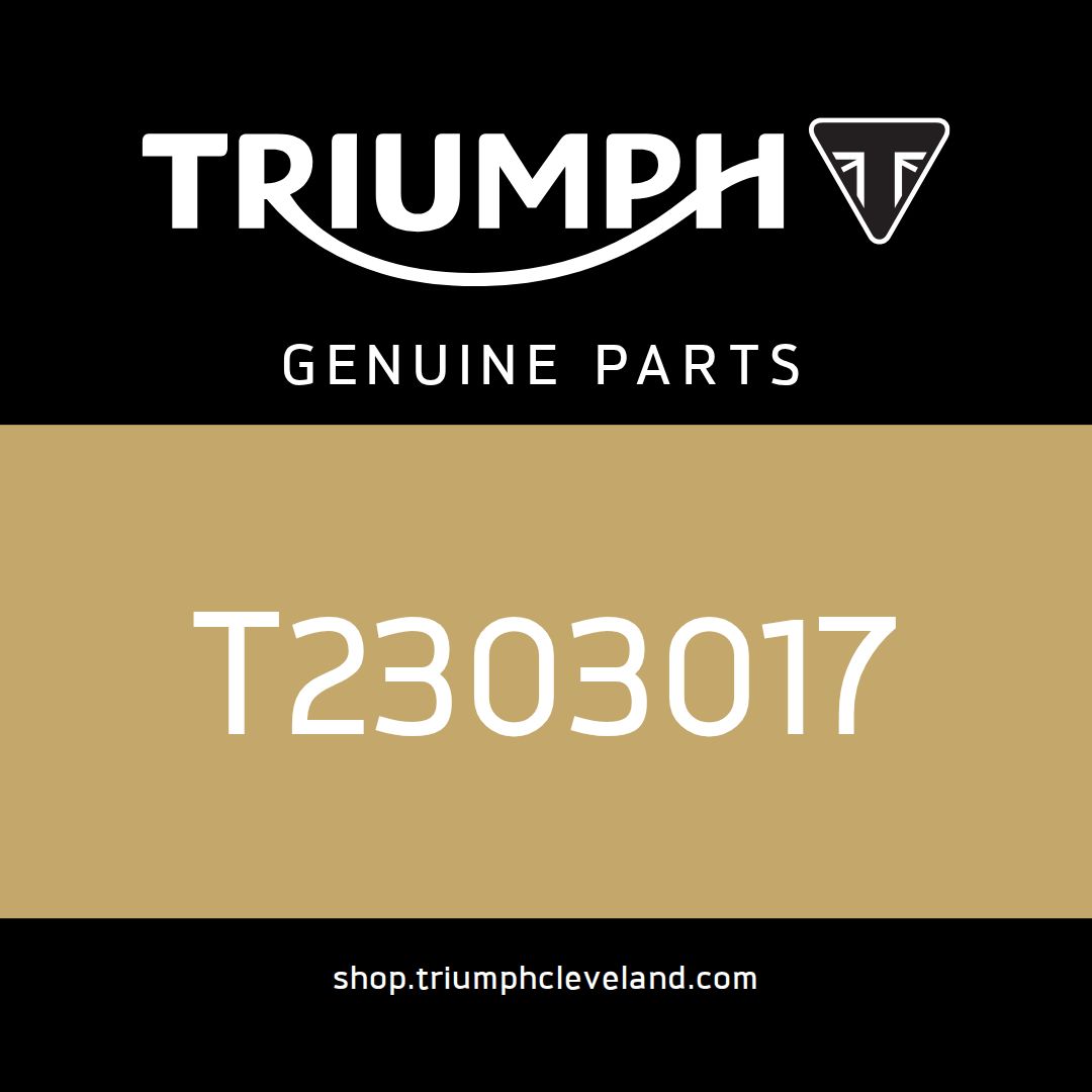 Triumph OEM Rear Rack - T2303017