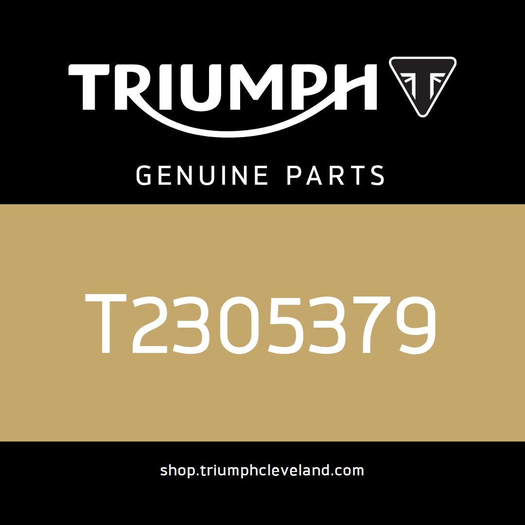 Triumph OEM Seat, Pillion, Heated - T2305379