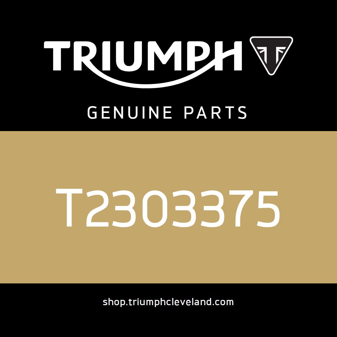 Triumph OEM Screen Subframe - T2303375