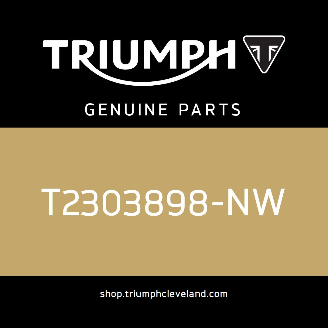 Triumph OEM Side Panel, RH - T2303898-NW