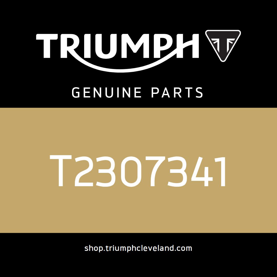 Triumph OEM Bolt, Pan/Hd, M6 x 16, S/S - T2307341