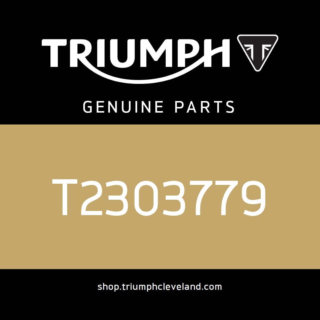 Triumph OEM Finisher, Upper Mudguard, RH - T2303779