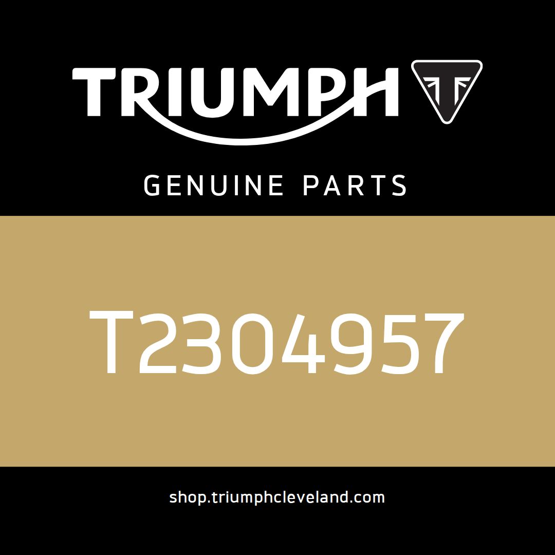 Triumph OEM Fork Protector, LH - T2304957