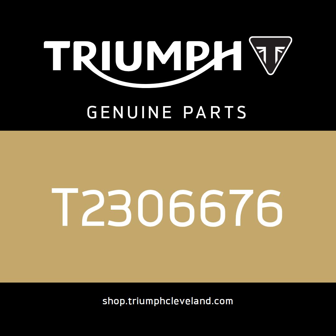 Triumph OEM Radiator Infill, LH - T2306676