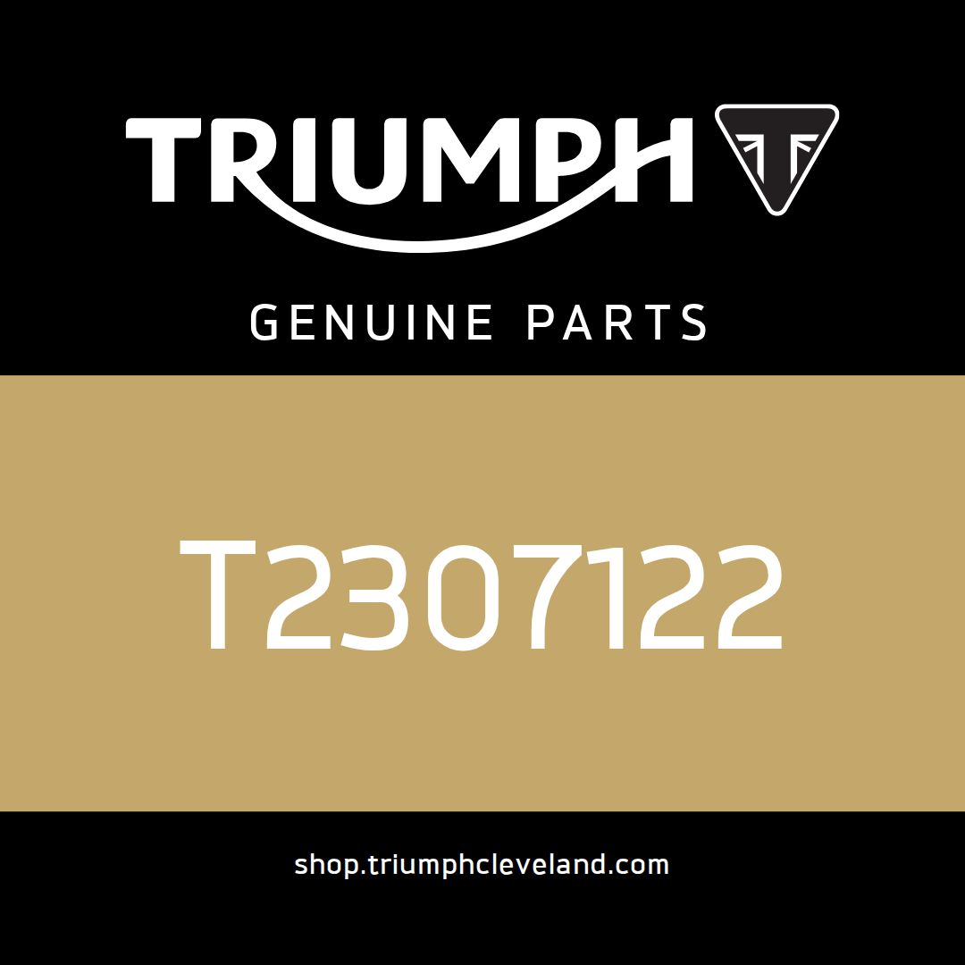 Triumph OEM Radiator Infill, Moulding, RHS - T2307122
