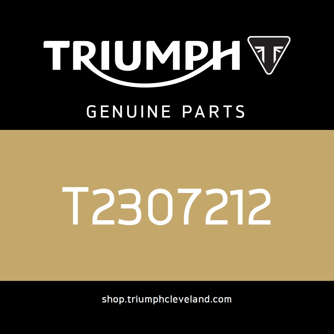 Triumph OEM Wire Guide, Brake Line, RHS - T2307212