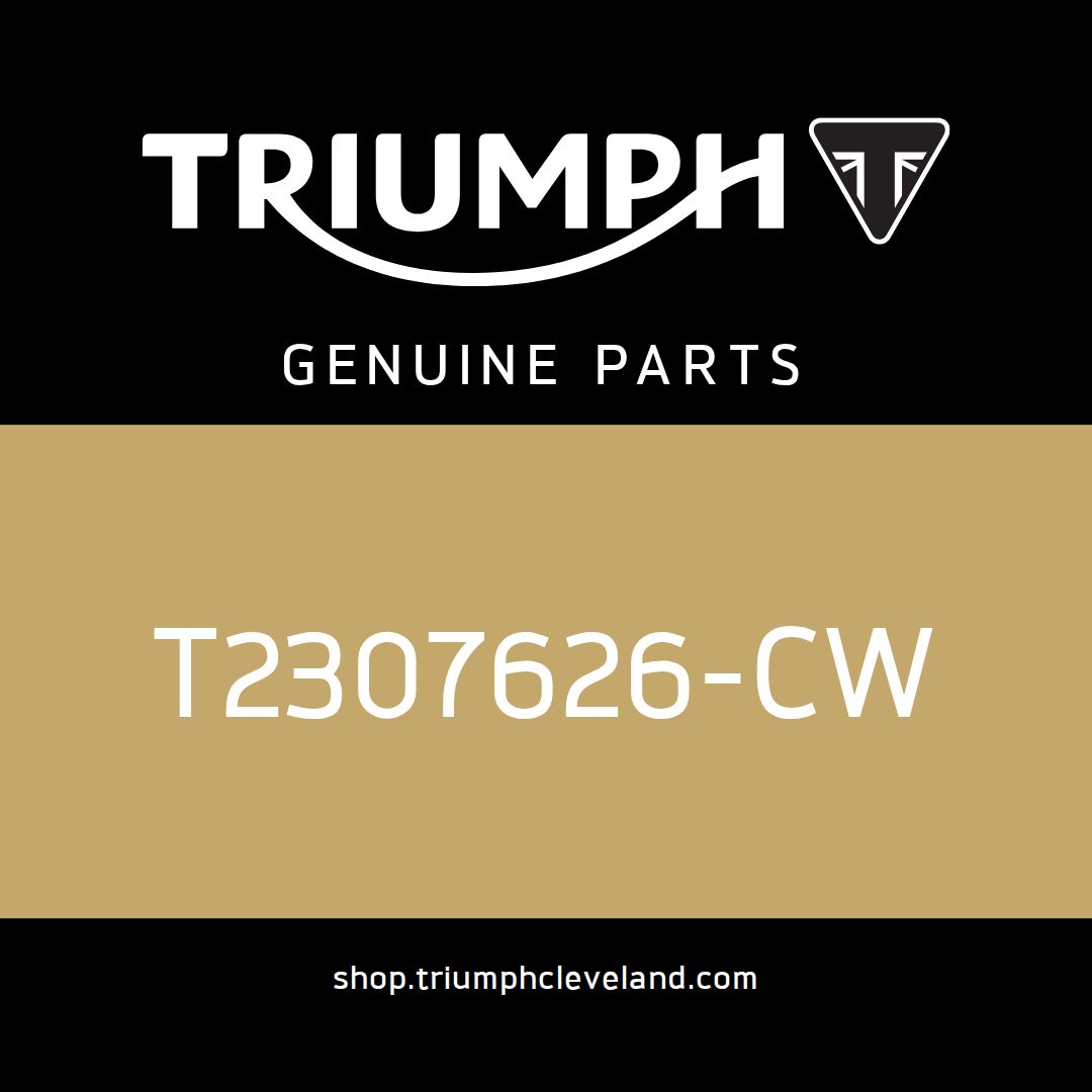 Triumph OEM Rear Panel - T2307626-CW