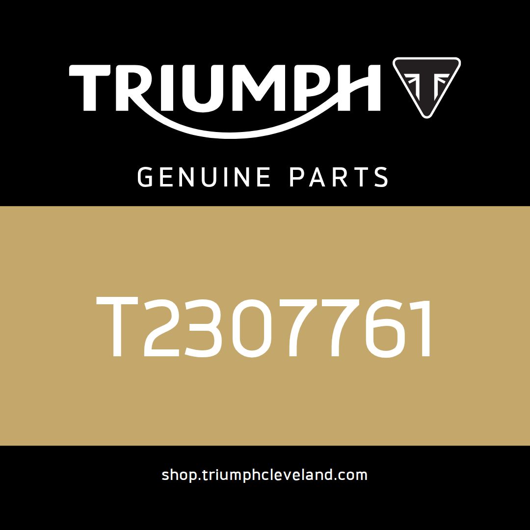 Triumph OEM Decal, Rear, RH, Colour 2 - T2307761