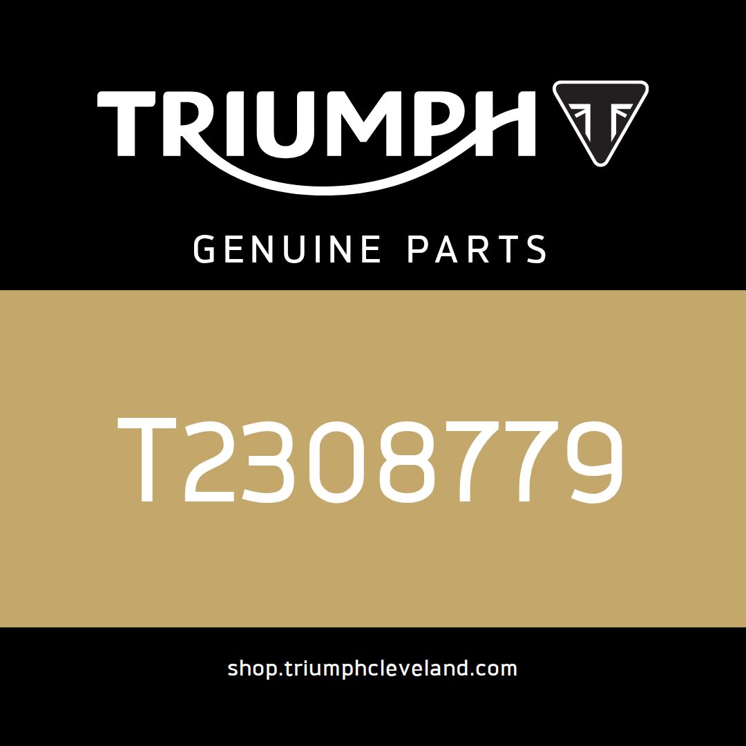 Triumph OEM Bracket, Front Mudguard - T2308779