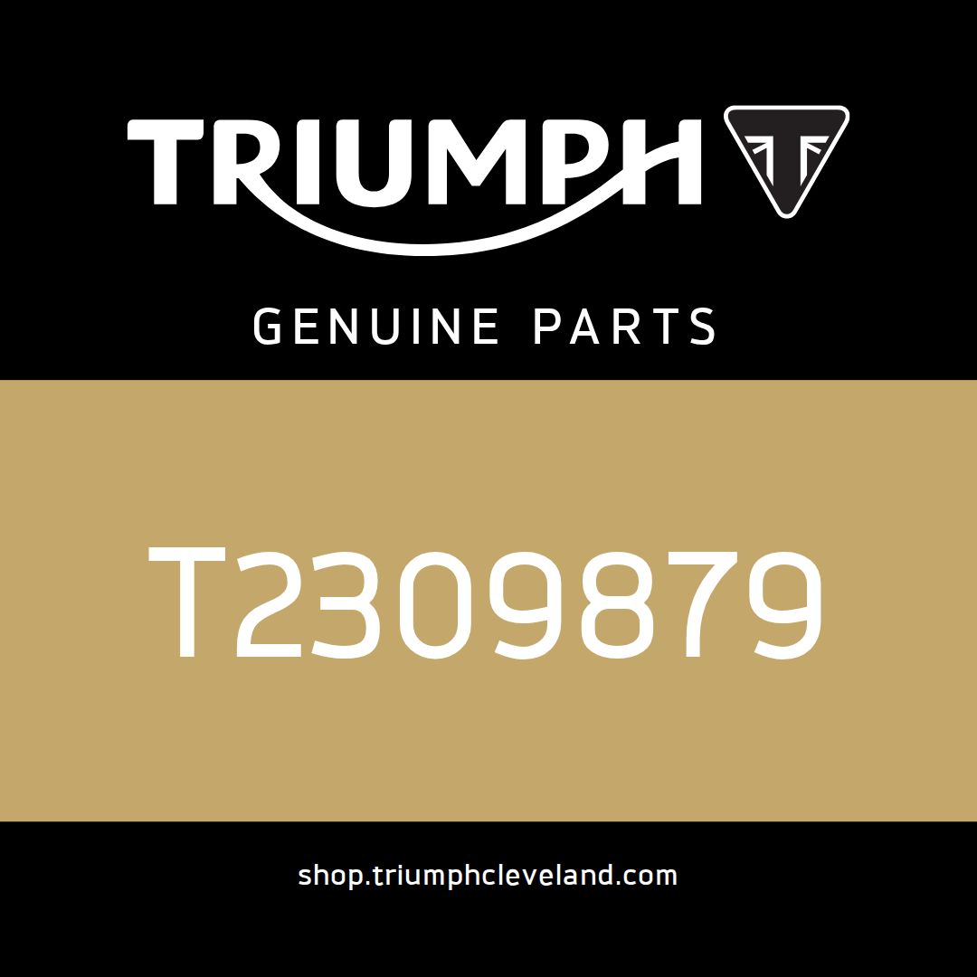 Triumph OEM Ignition Switch Panel - T2309879