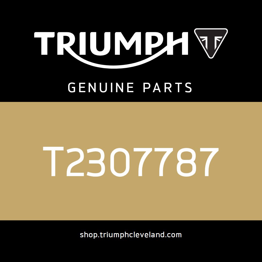 Triumph OEM Extension Handle - T2307787