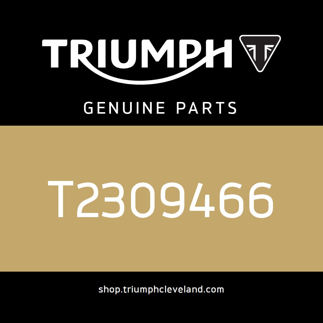 Triumph OEM Screen - T2309466