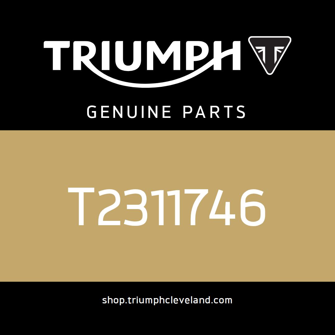 Triumph OEM Finisher, Support Mldg, LH - T2311746