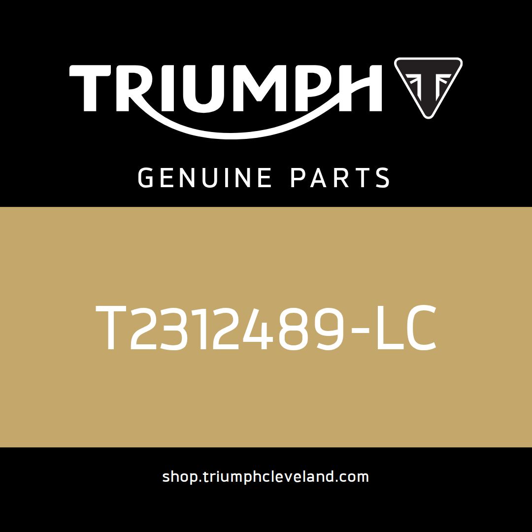 Triumph OEM Beak, Graphite - T2312489-LC