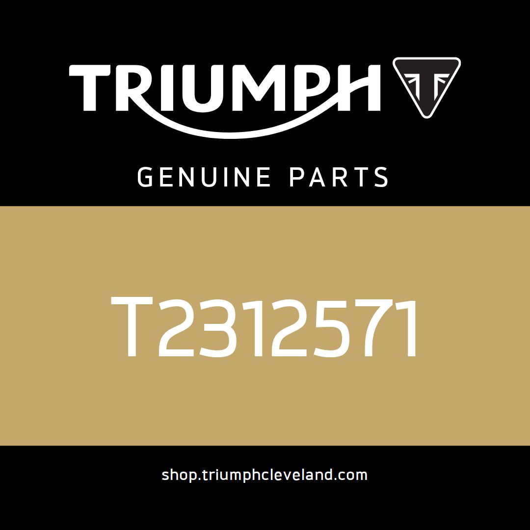 Triumph OEM Bracket, Front Mudguard, Fab - T2312571