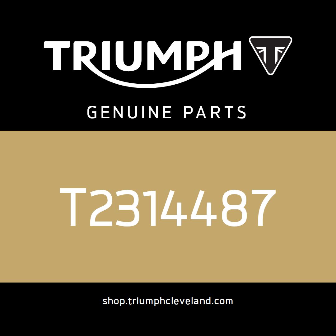 Triumph OEM Decal 2, Rear Bodywork, LH, Pure White - T2314487