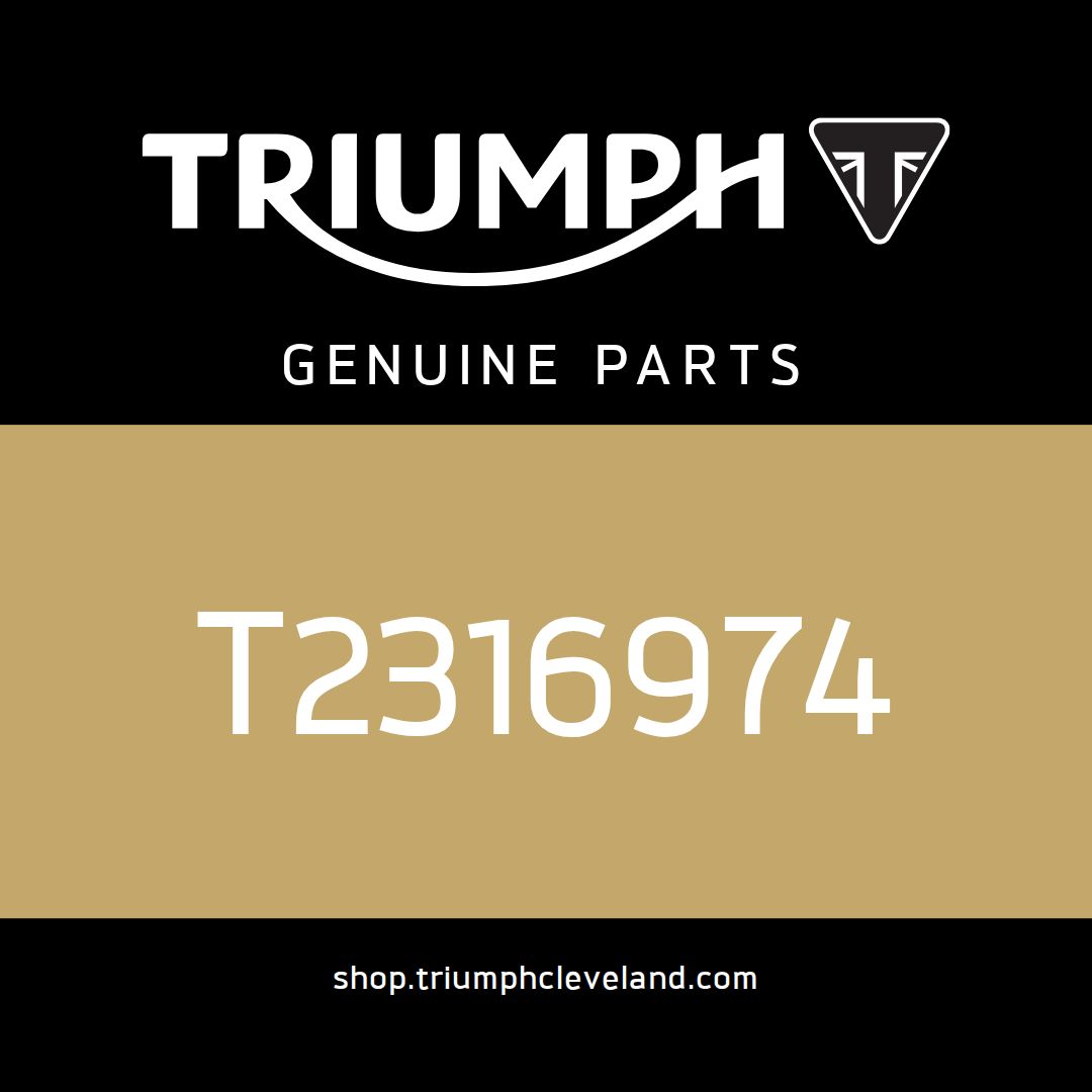 Triumph OEM Decal, Side Panel, Gold - T2316974