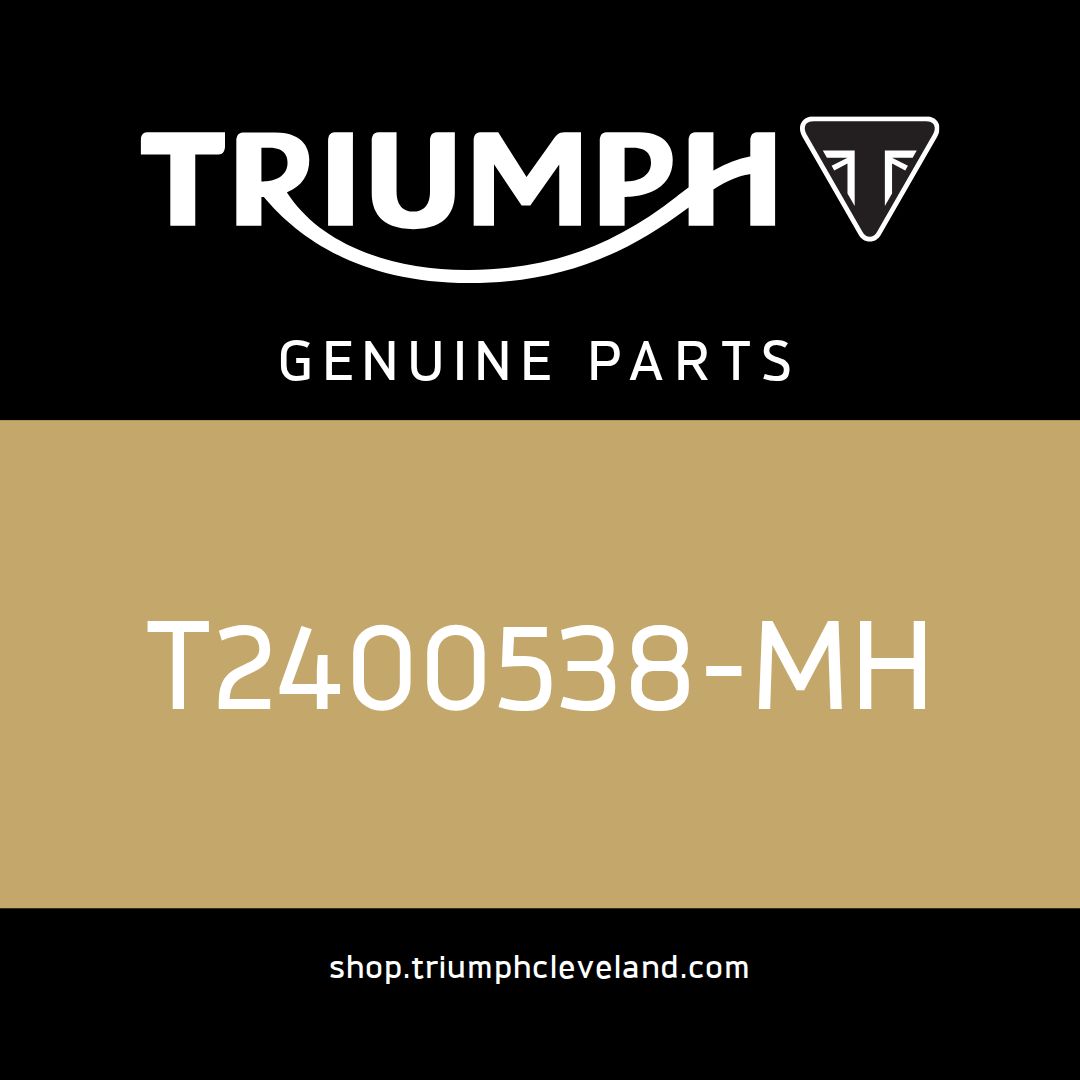 Triumph OEM Fuel Tank - T2400538-MH