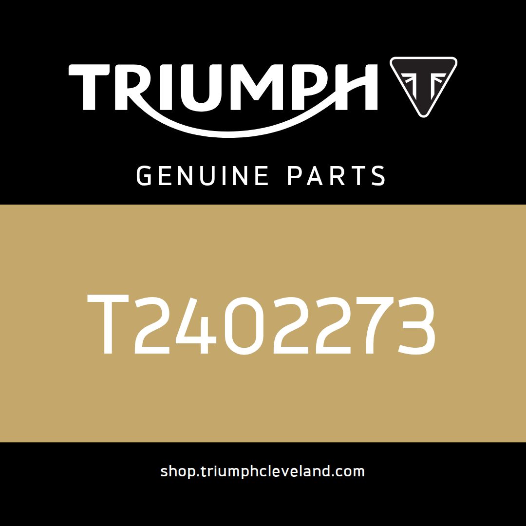 Triumph OEM Decal, Wordmark, Metal Effect - T2402273