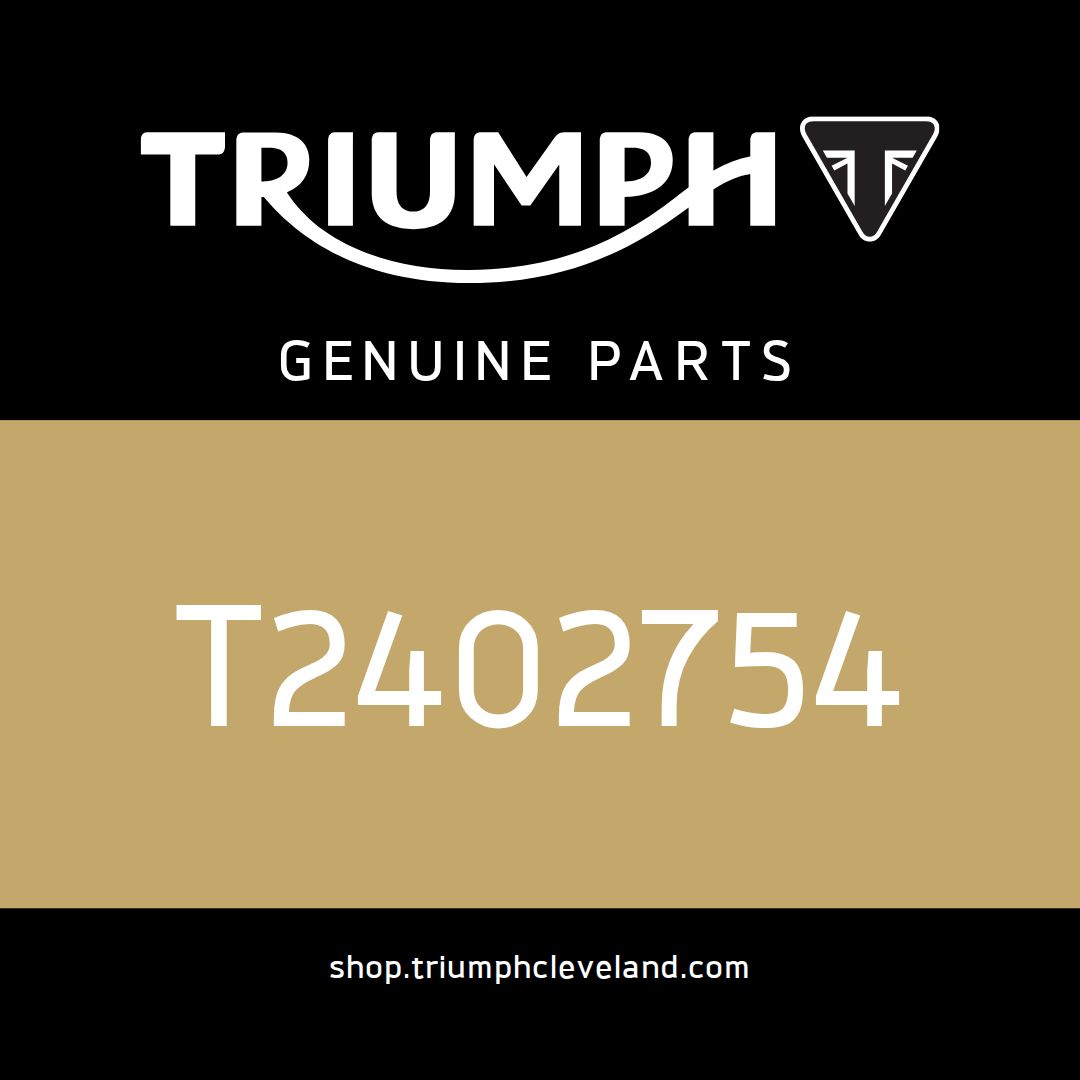 Triumph OEM Decal, Wordmark - T2402754