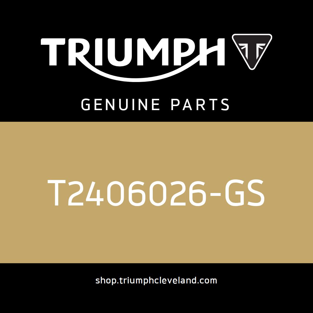 Triumph OEM Fuel Tank Assembly - T2406026-GS