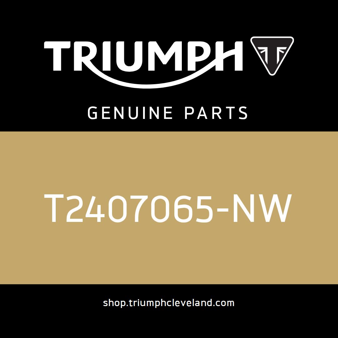 Triumph OEM Fuel Tank Assy - T2407065-NW