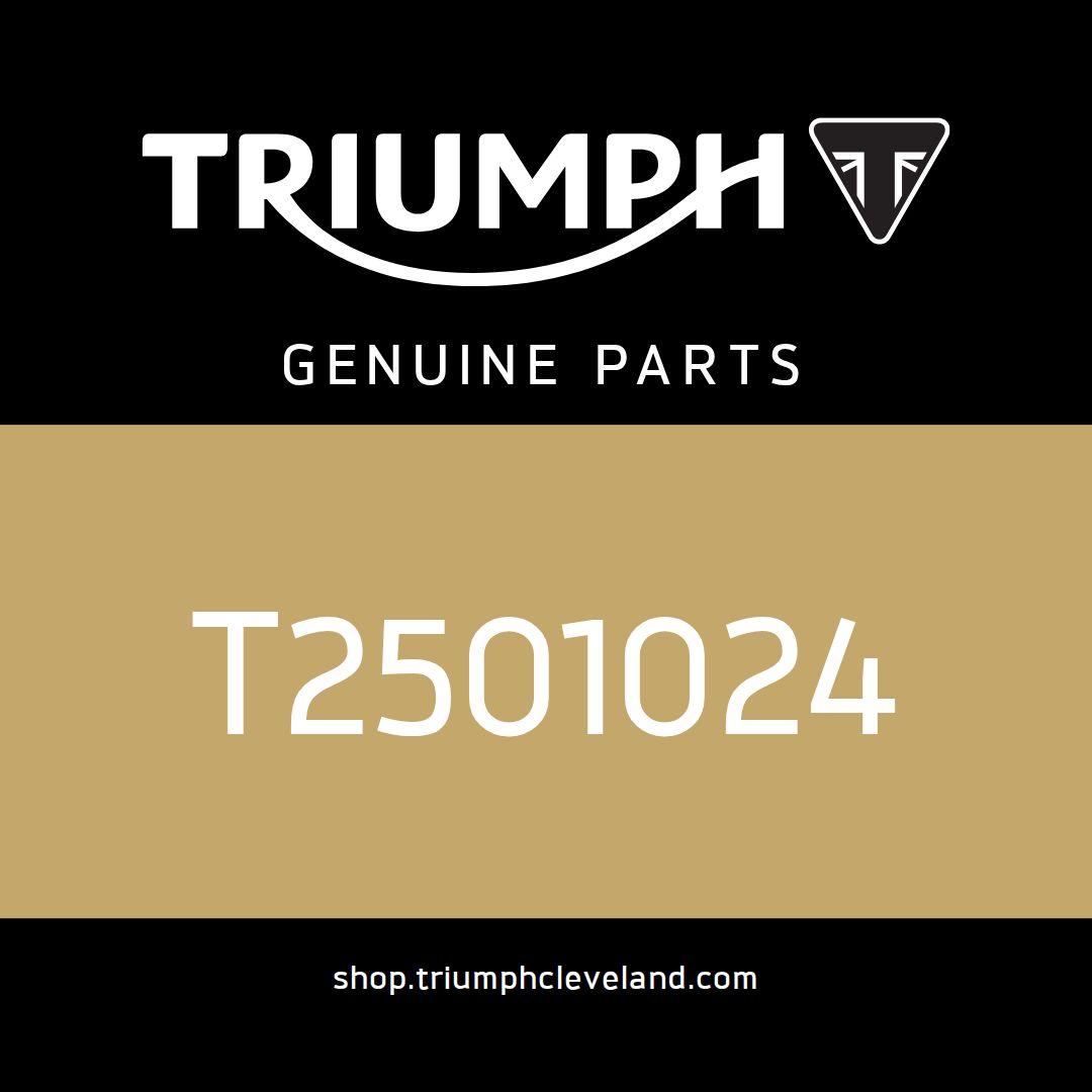 Triumph OEM Lockset Assy - T2501024