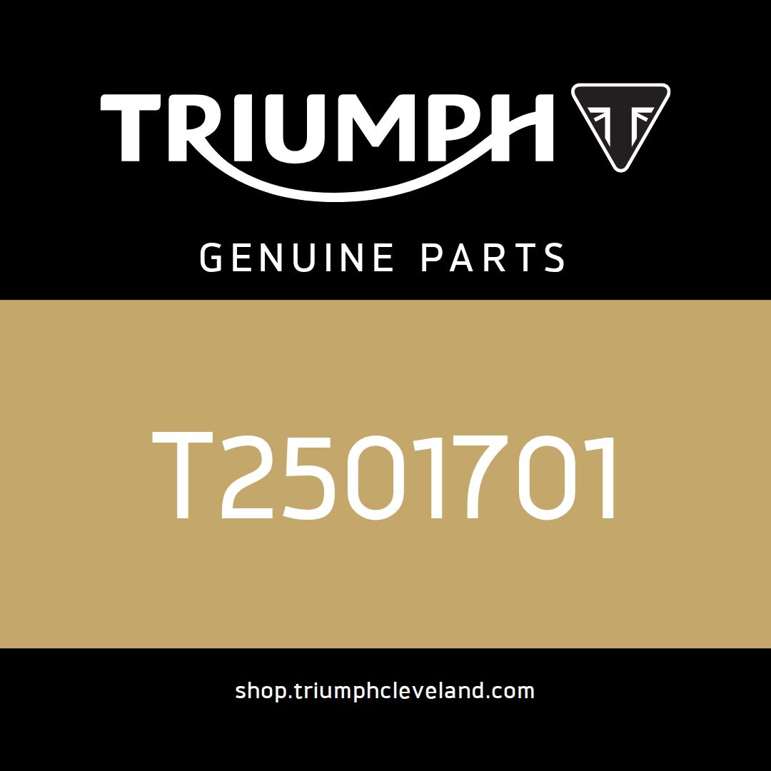 Triumph OEM Lockset - T2501701