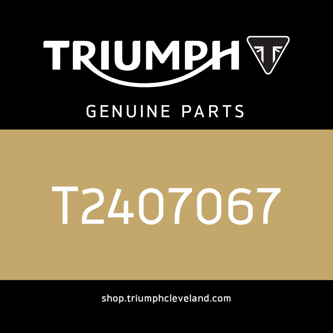 Triumph OEM Heat Pad, Fuel Tank - T2407067