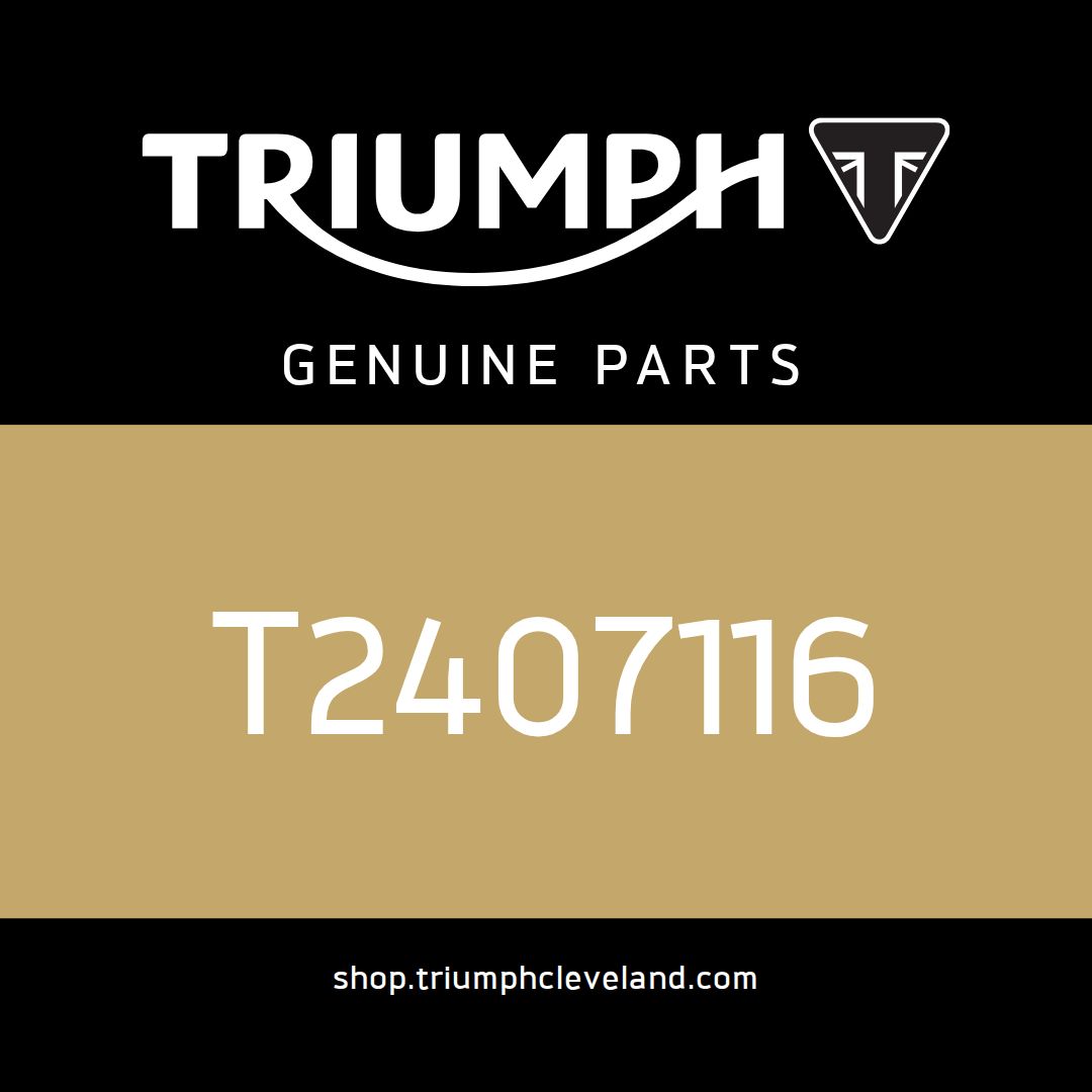 Triumph OEM Decal, Fuel Tank, Line, Silver - T2407116