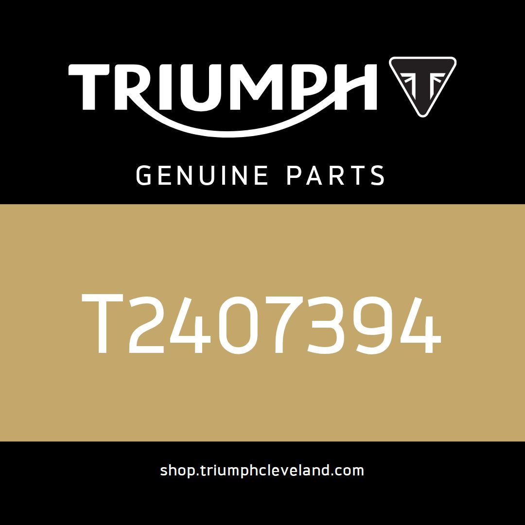 Triumph OEM Decal, Fuel Tank, Wordmark, Gold - T2407394