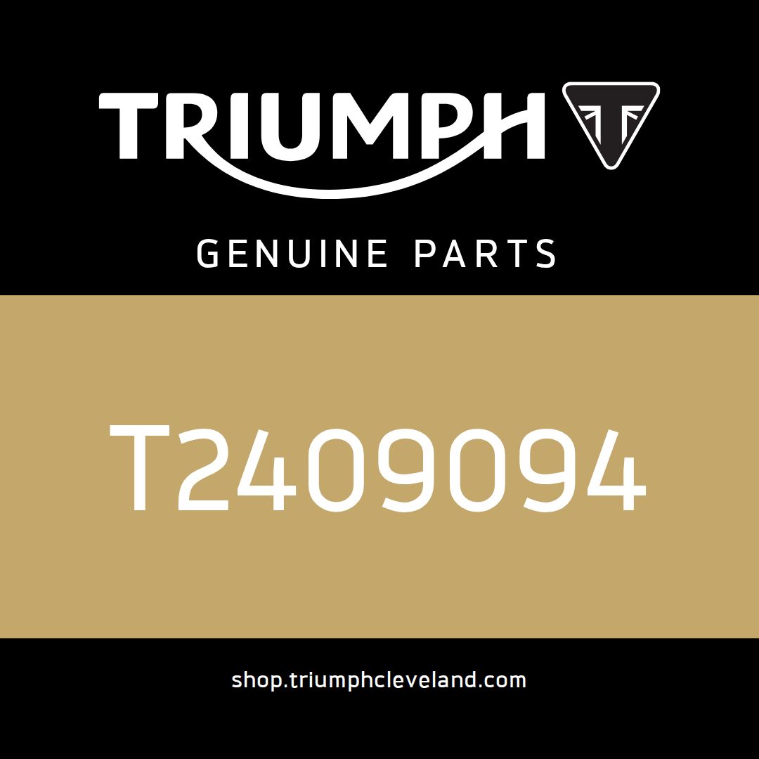 Triumph OEM Instrument, TFT, KMH, JP - T2409094